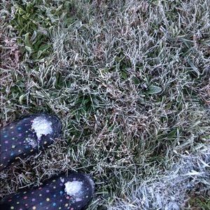 Meet your Posher, Lara