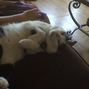 Meet your Posher, Katie