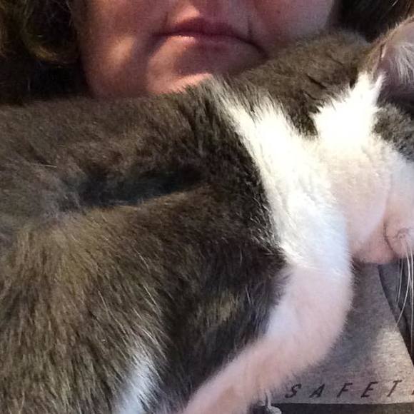 Meet your Posher, Teresa - Picture 1 of 1