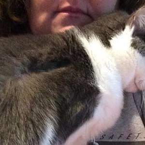 Meet your Posher, Teresa