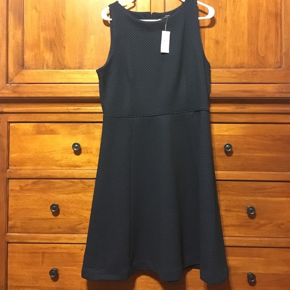 NWT Loft black and blue dress