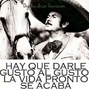 Meet your Posher, Marin