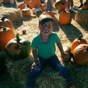 Meet your Posher, Kristin