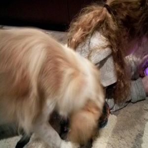 Meet your Posher, Tessa