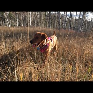 Meet your Posher, Kara