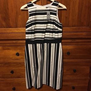 NWT Ann Taylor dress