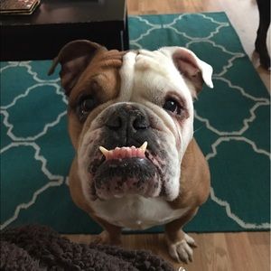 Meet your Posher, Allison