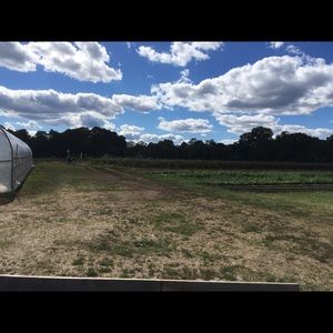 Meet your Posher, Paul