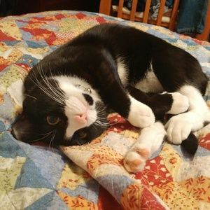 Meet your Posher, Charlene