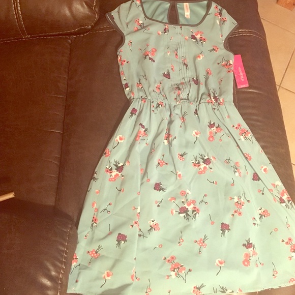 Never worn w/ tags, blue dress w/ floral pattern