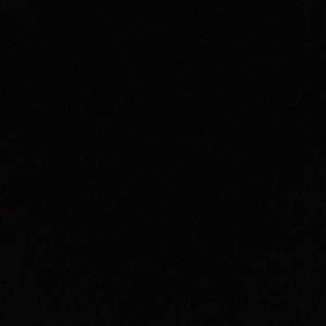 Meet your Posher, Sophia