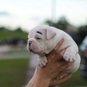 Meet your Posher, Luis