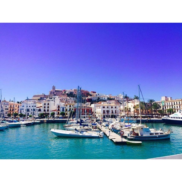 Meet your Posher, Shelby