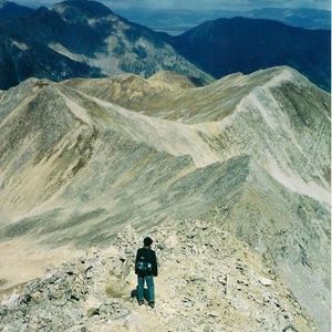 Meet your Posher, Tricia