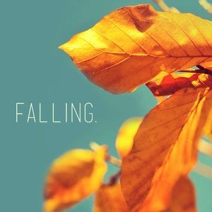 Meet your Posher, Najwa