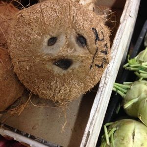 Meet your Posher, Chen