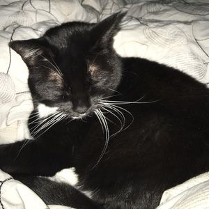 Meet your Posher, Laura