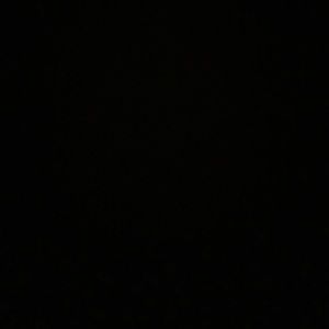 Meet your Posher, Carmen