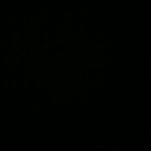 Meet your Posher, Brendan