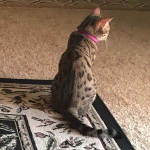 Meet your Posher, Bethany