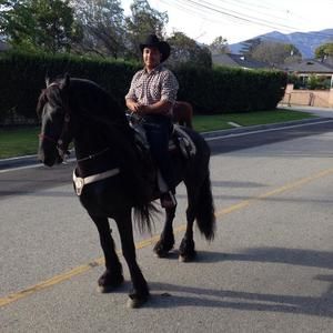 Meet your Posher, Sam