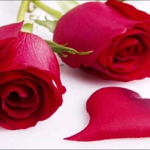 Meet your Posher, Isabel