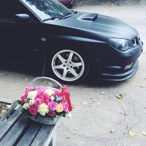 Meet your Posher, Molly