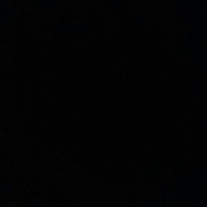 Meet your Posher, Tony