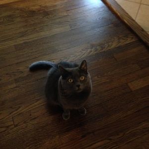 Meet your Posher, Erica