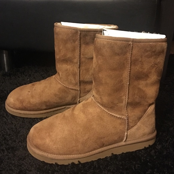 Classic Short Chestnut Uggs