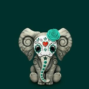 Meet your Posher, Aj