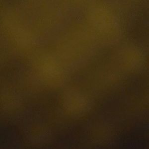 Meet your Posher, Quinlan