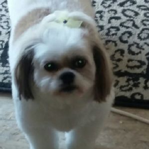 Meet your Posher, Sue