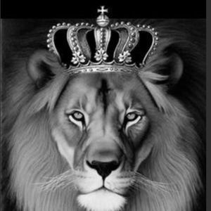 Meet your Posher, Elder treyvis