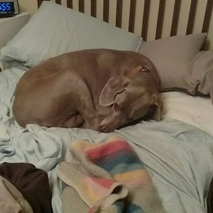 Meet your Posher, Teri