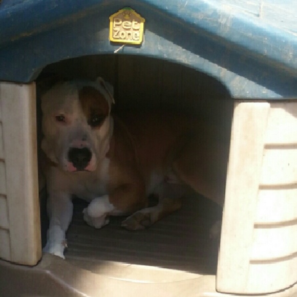 Meet your Posher💋 - Picture 4 of 4