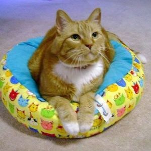 Meet your Posher, Mae