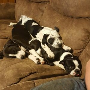 Meet your Posher, Brittney