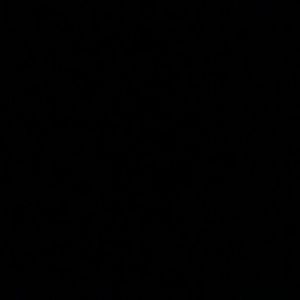 Meet your Posher, Barry