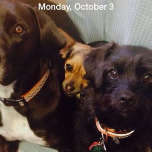 Meet your Posher, Claire