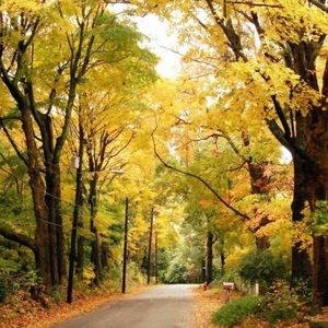 Meet your Posher, Jodi