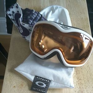 Ski Goggles
