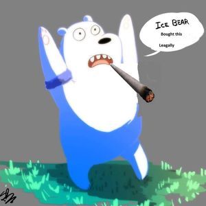 Meet your Posher, Bob