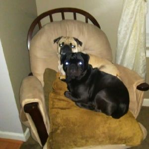 Meet your Posher, Bryson