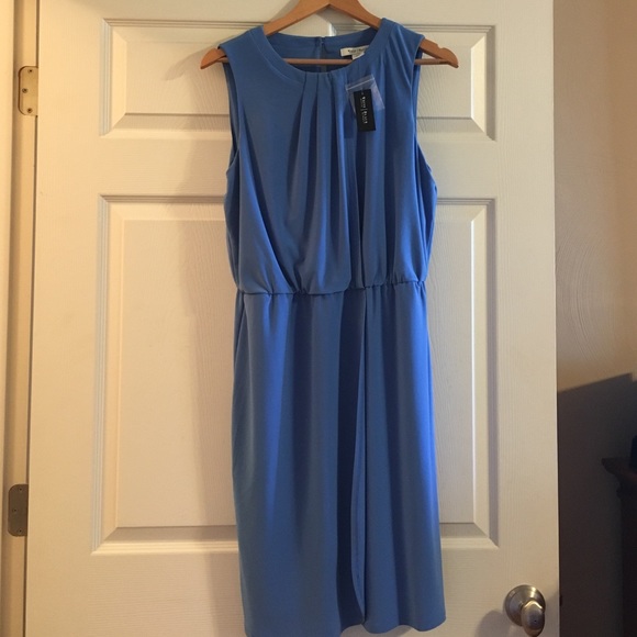 NWT Gorgeous blue WHBM Dress