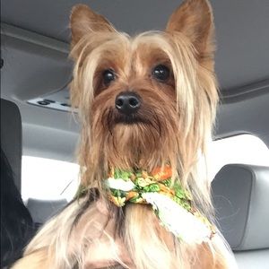 Meet your Posher, Esther