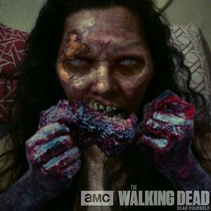 Meet your Posher, Debbi