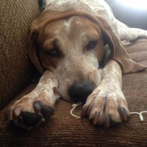 Meet your Posher, Jill