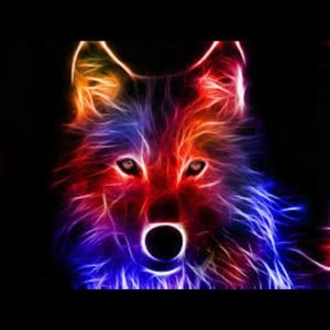 Meet your Posher, Ivan