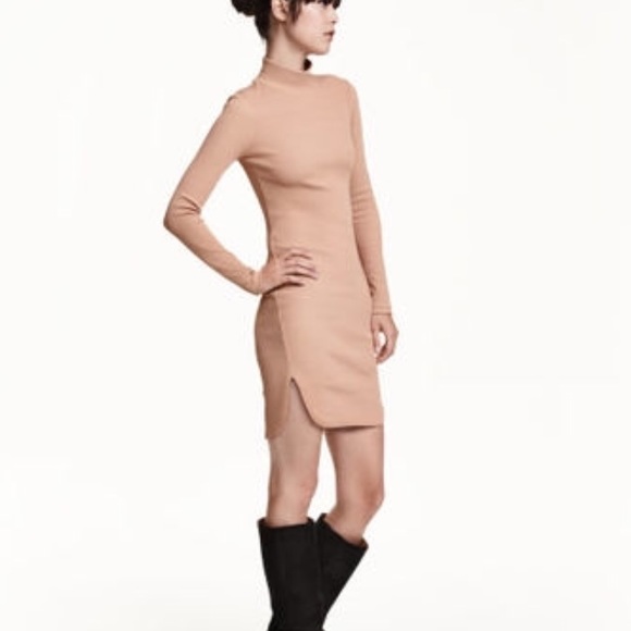 Mock Turtleneck Dress